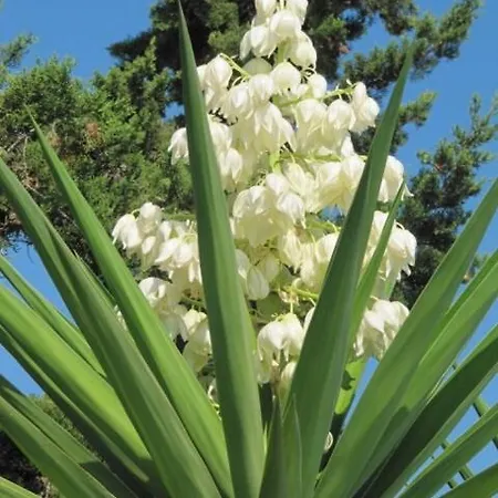 Βίλα Magical Mamamia On Island, Greece