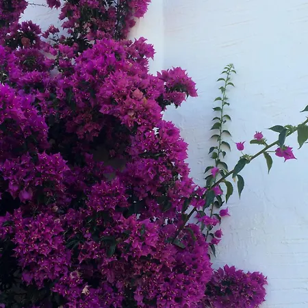 Βίλα Magical Mamamia On Island, Greece *