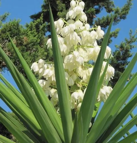 Вилла Magical Mamamia On Island, Greece