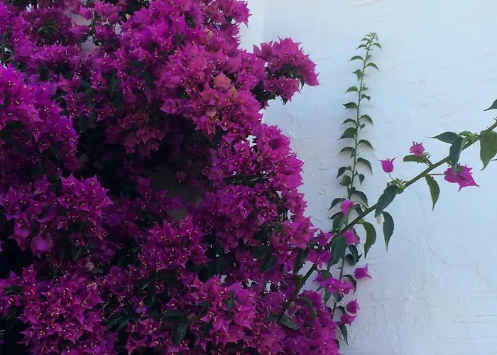 Вилла Magical Mamamia On Island, Greece *