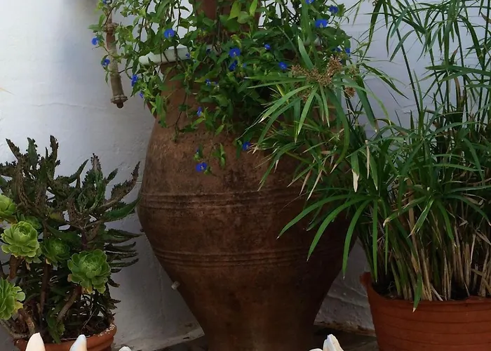 Вилла Magical Mamamia On Island, Greece