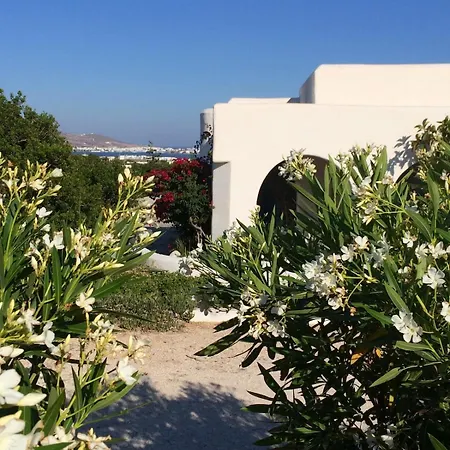 Magical Mamamia On Island, Greece Parikia (Paros)